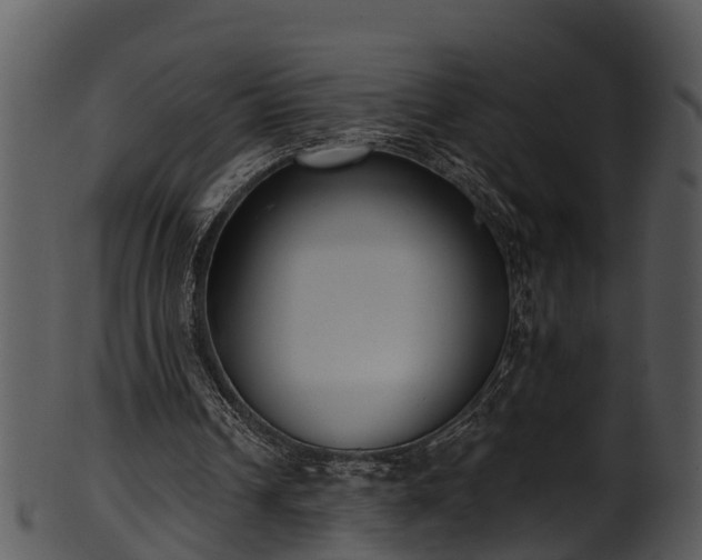 X0000101420242200807141201