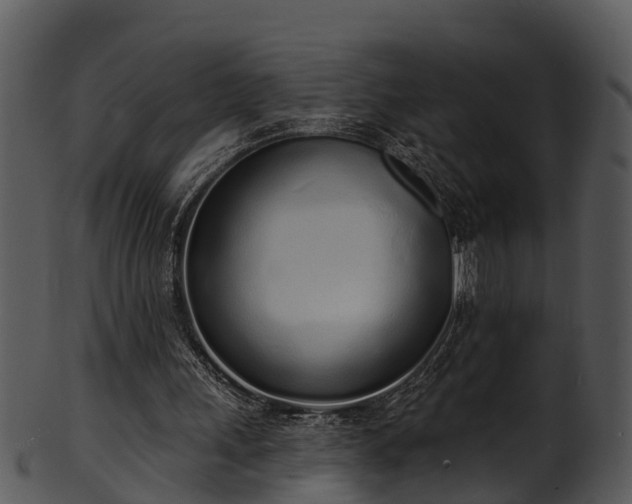 X0000101420243200807141201