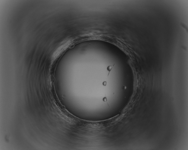 X0000101420245200807141201