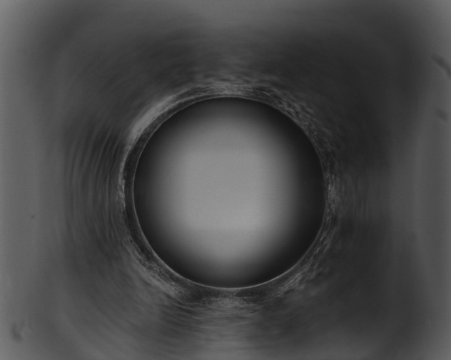 X0000101420246200807141201