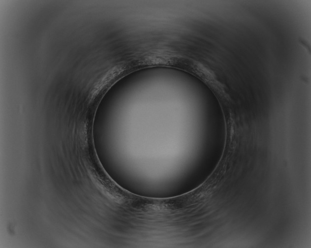 X0000101420250200807141201