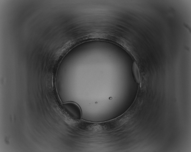 X0000101420253200807141201