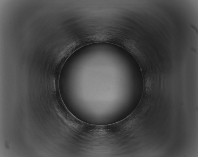X0000101420254200807141201