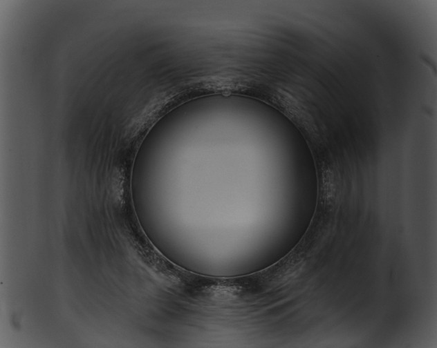 X0000101420255200807141201