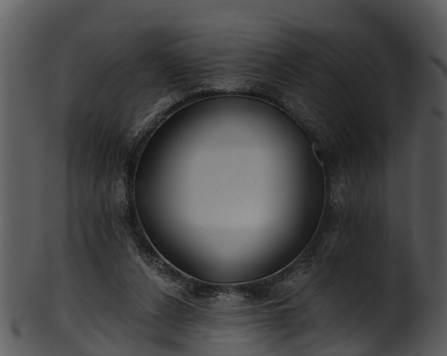 X0000101420256200807141201