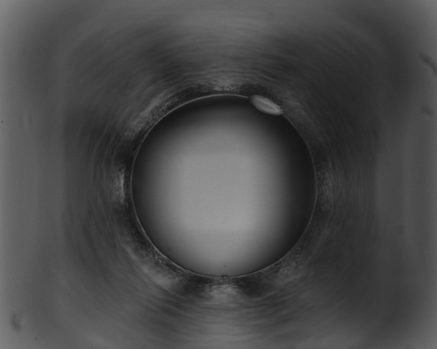 X0000101420262200807141201