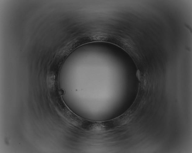 X0000101420263200807141201
