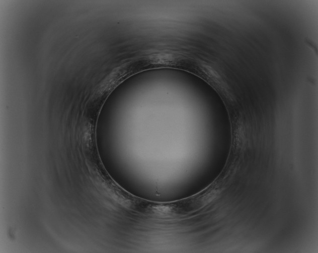 X0000101420265200807141201