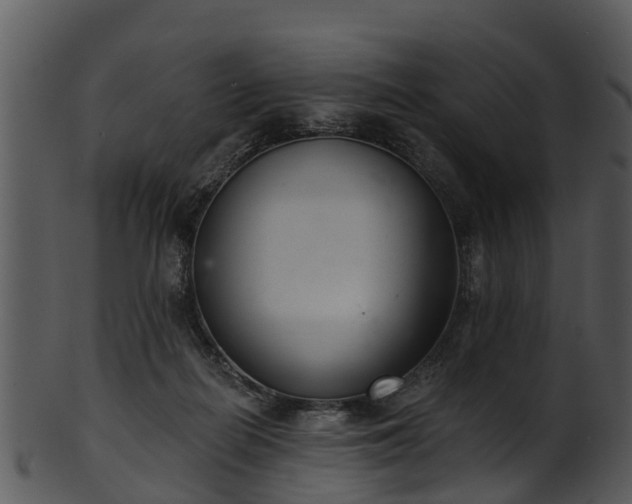 X0000101420266200807141201