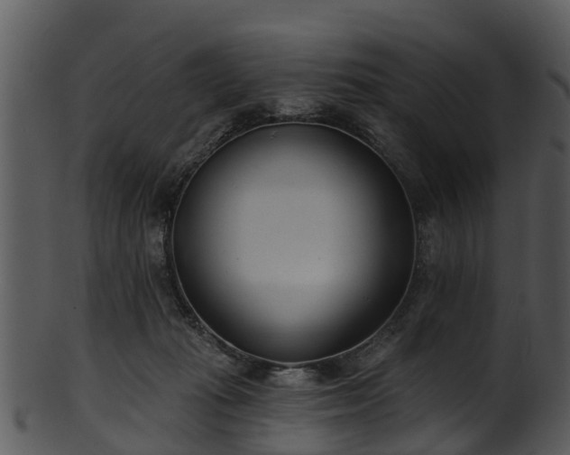 X0000101420269200807141201