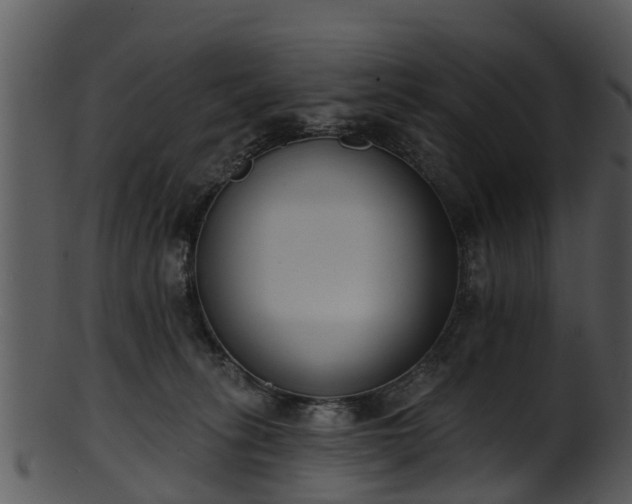 X0000101420275200807141201