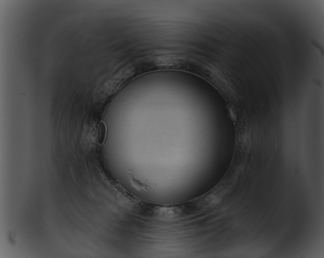 X0000101420277200807141201