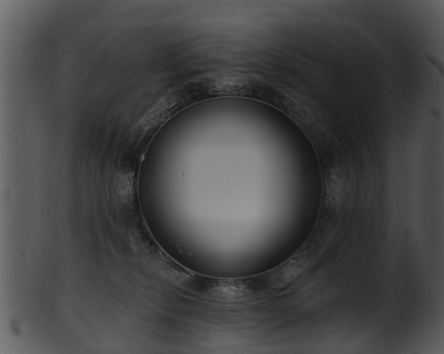 X0000101420278200807141201