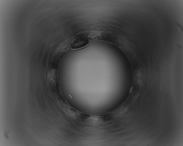 X0000101420280200807141201