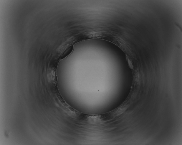 X0000101420281200807141201