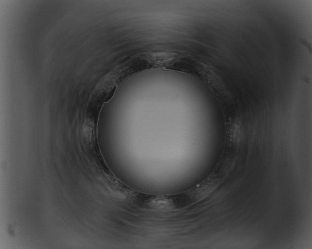 X0000101420283200807141201