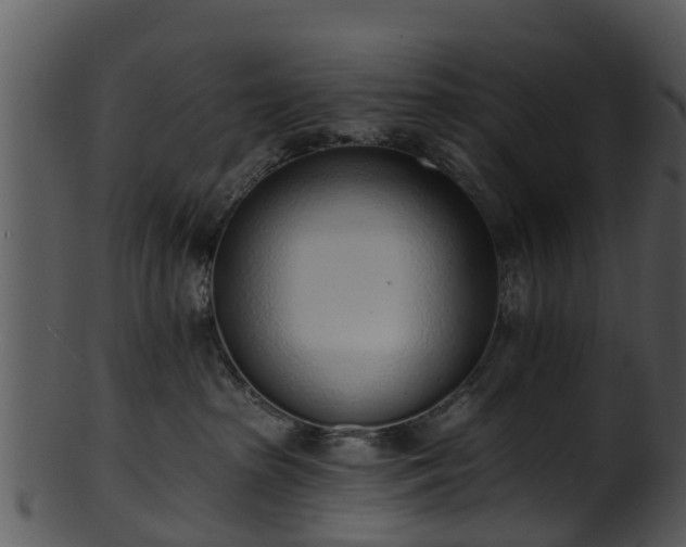 X0000101420285200807141201