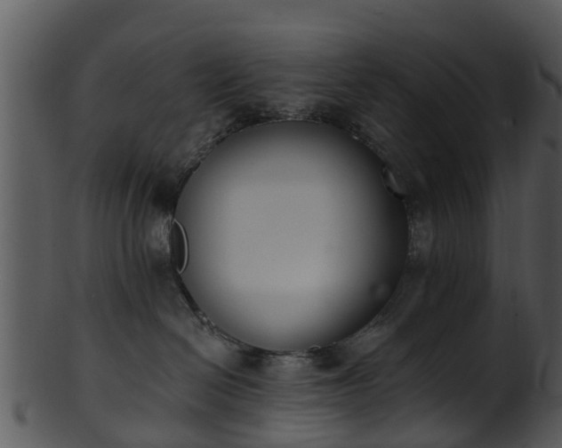 X0000101420286200807141201