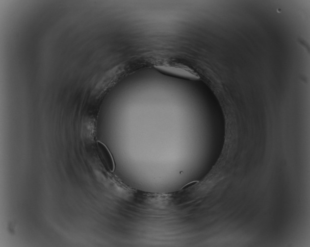 X0000101420288200807141201