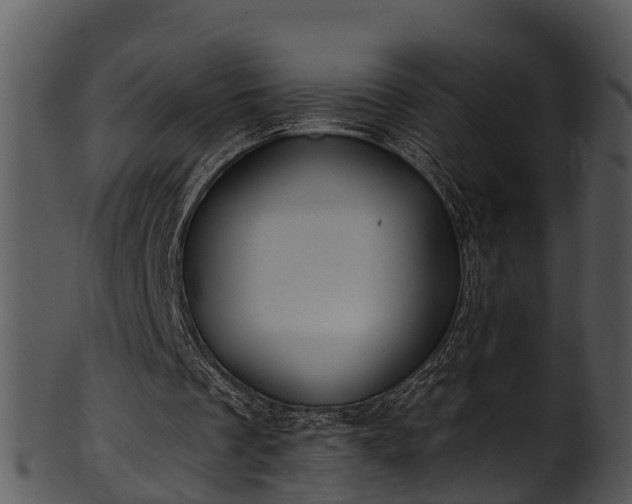 X0000101420289200807141200