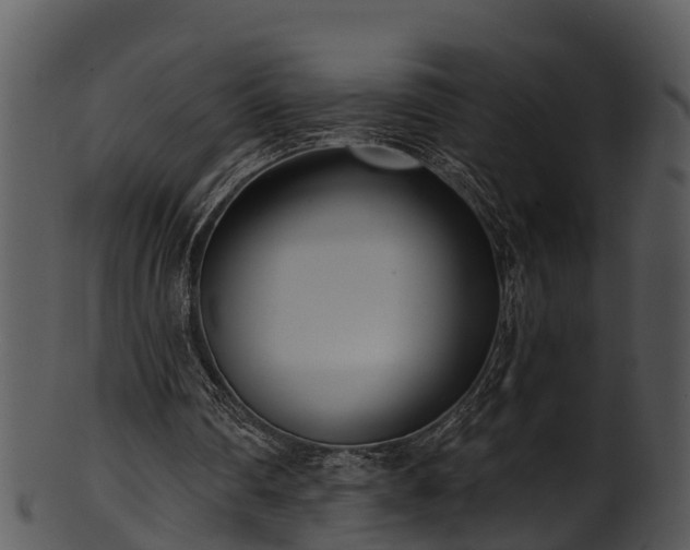 X0000101420290200807141200