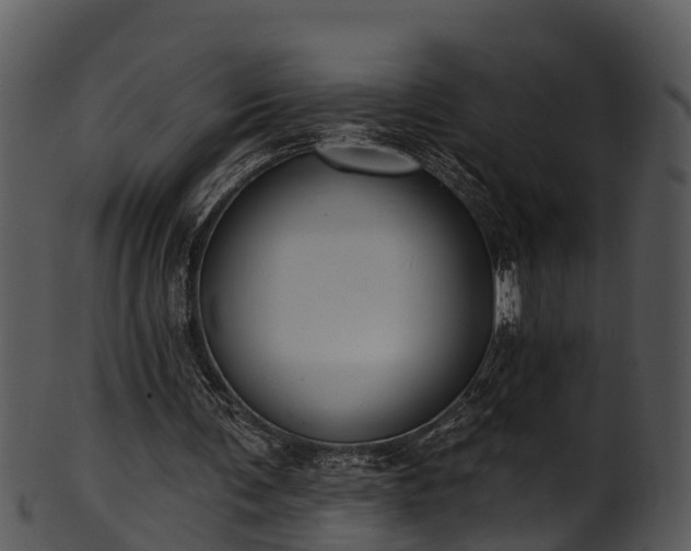 X0000101420291200807141200