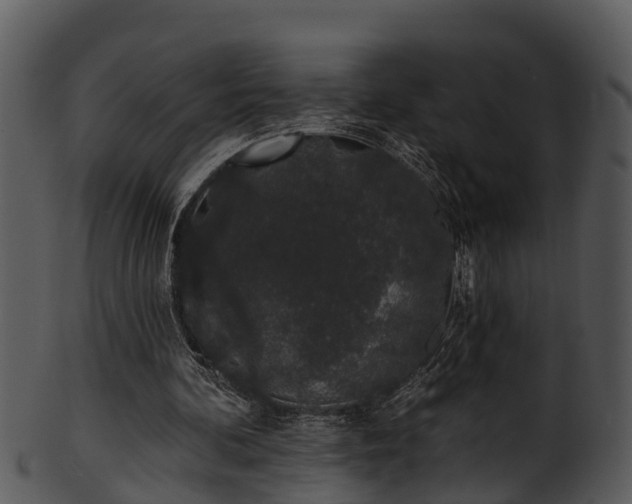 X0000101420292200807141200