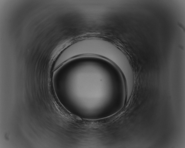 X0000101420293200807141200