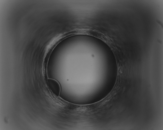 X0000101420294200807141200