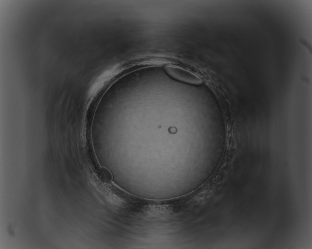 X0000101420296200807141200