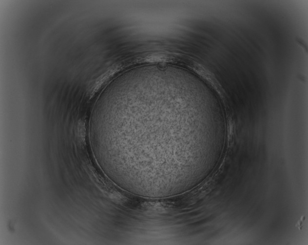 X0000101420297200807141200