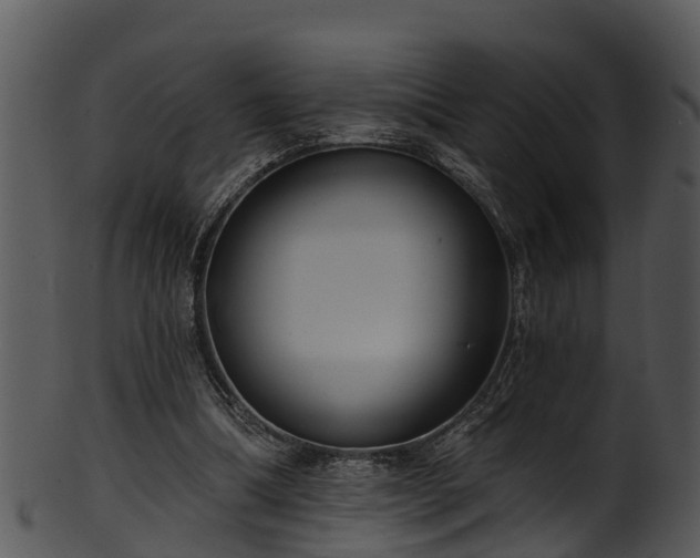 X0000101420298200807141200