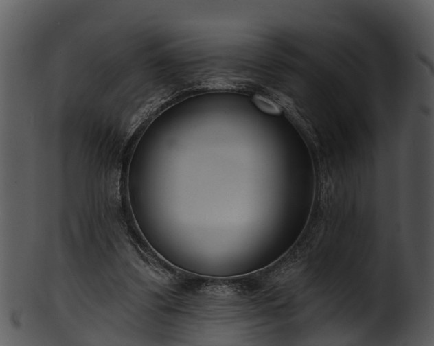 X0000101420299200807141200