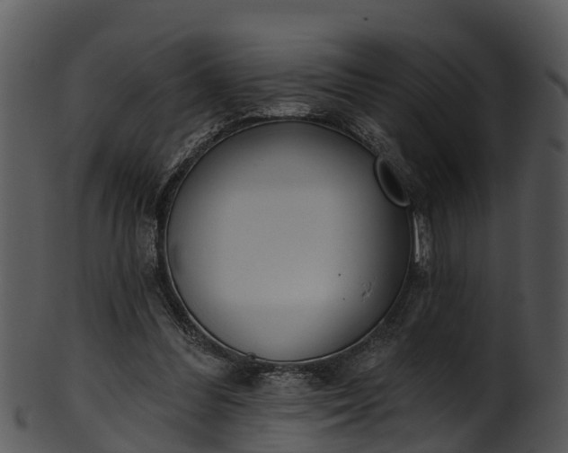 X0000101420300200807141200