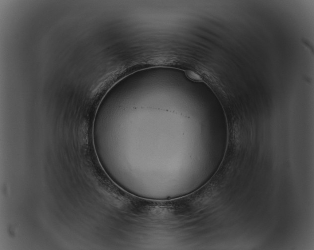 X0000101420303200807141200