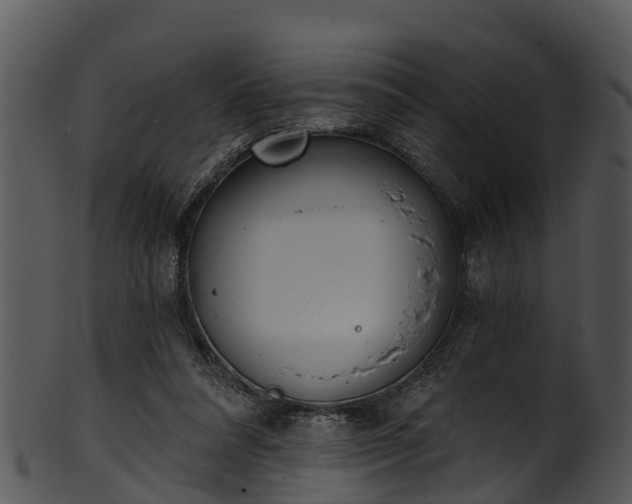 X0000101420304200807141200