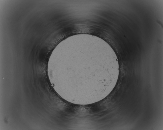 X0000101420305200807141200
