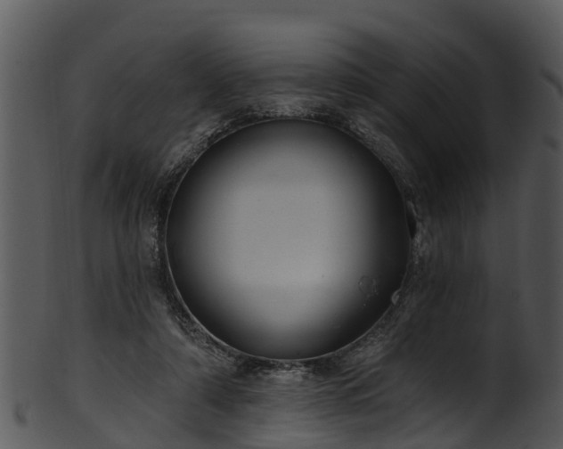 X0000101420306200807141200