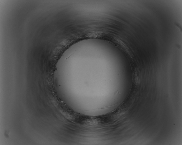 X0000101420307200807141200