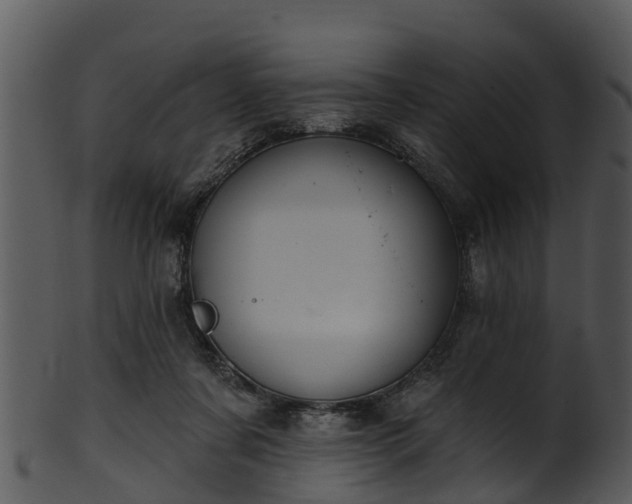 X0000101420311200807141200