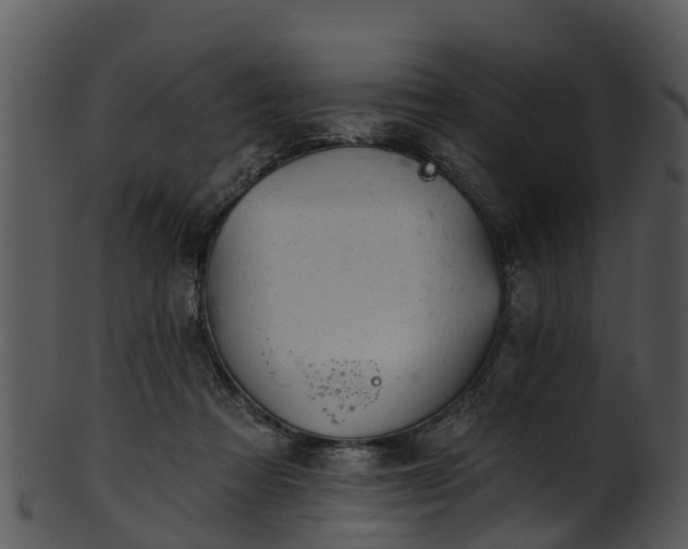 X0000101420313200807141200