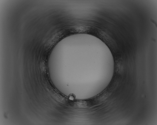 X0000101420317200807141200