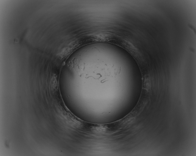 X0000101420318200807141200