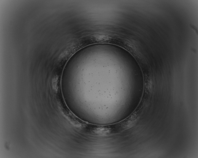 X0000101420319200807141200