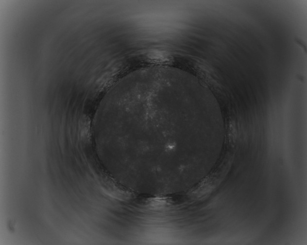 X0000101420320200807141200