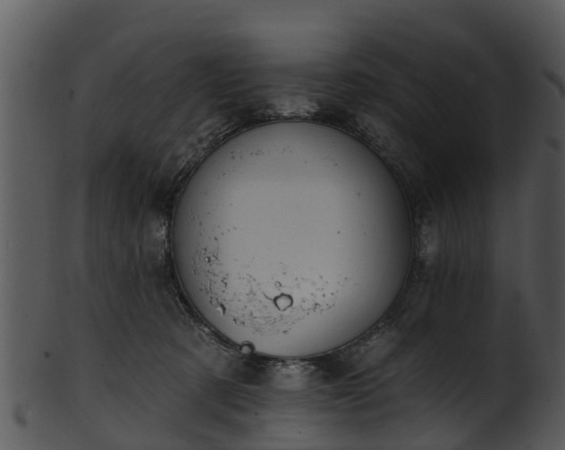 X0000101420321200807141200