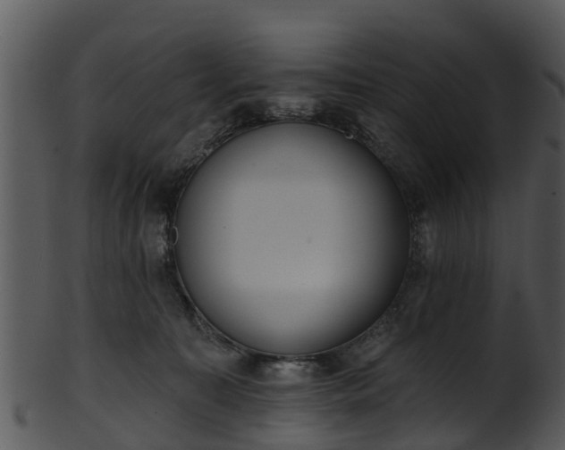 X0000101420323200807141200