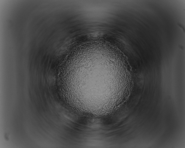 X0000101420324200807141200