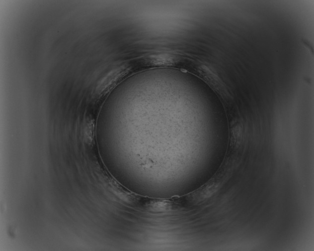 X0000101420325200807141200