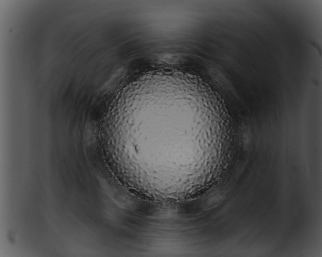X0000101420328200807141200